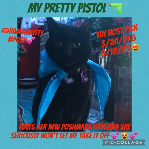 Pet/ human Bandana Poshfixings Exclusive New - Picture 12 of 12